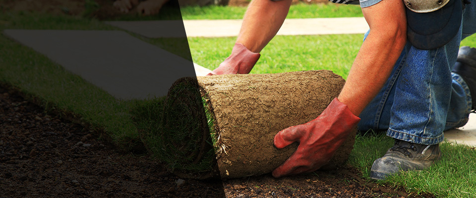 Crestwood Landscapers